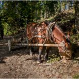 gorce_2016__img_7109