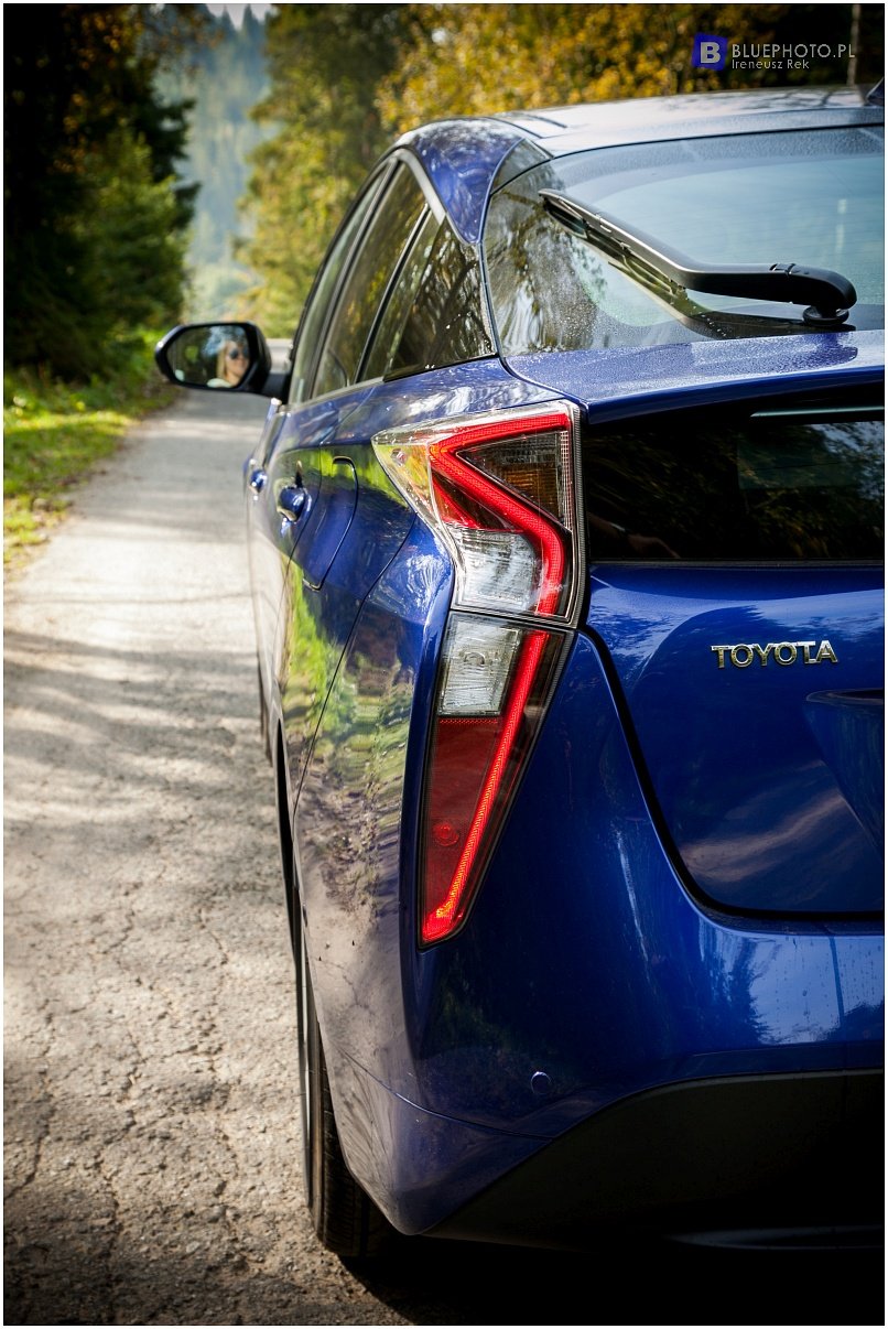 gorce_2016__img_7236