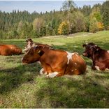 gorce_2016__img_7277