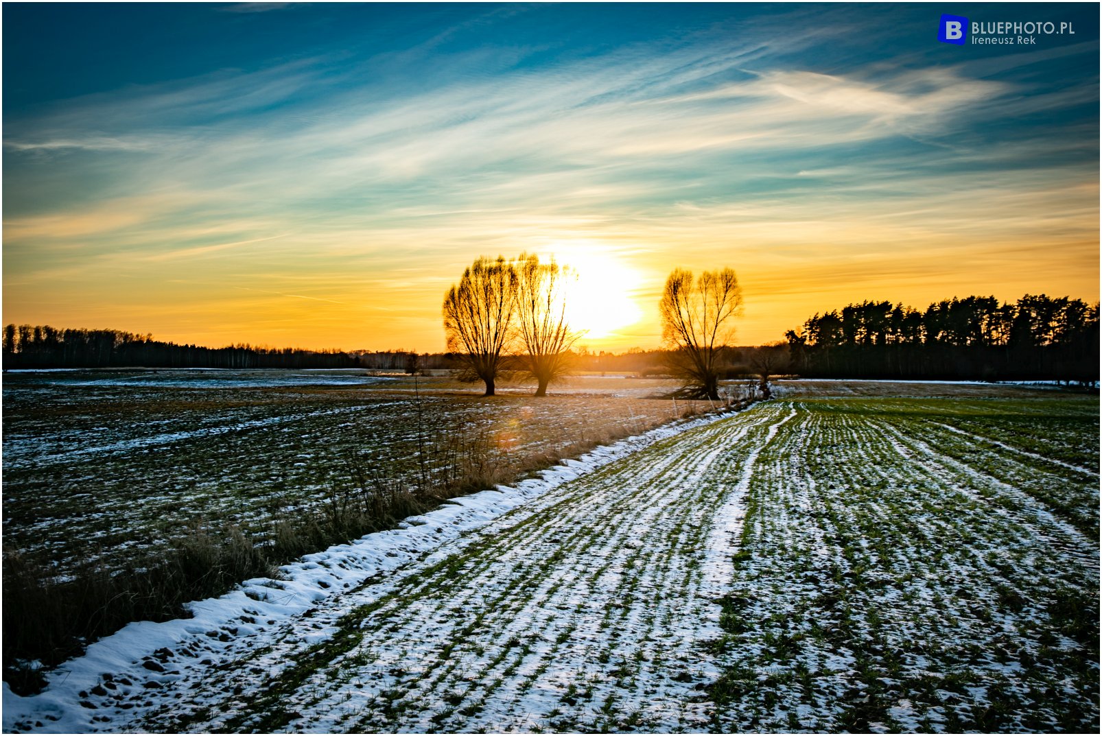mazury_2023.02_barcianu-galiny____2V6A0892