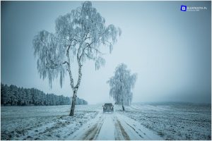 via_mazuria___IMG_3409